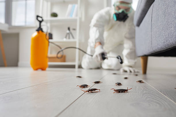 Commercial Kitchen Cockroach Control in Bal Harbour